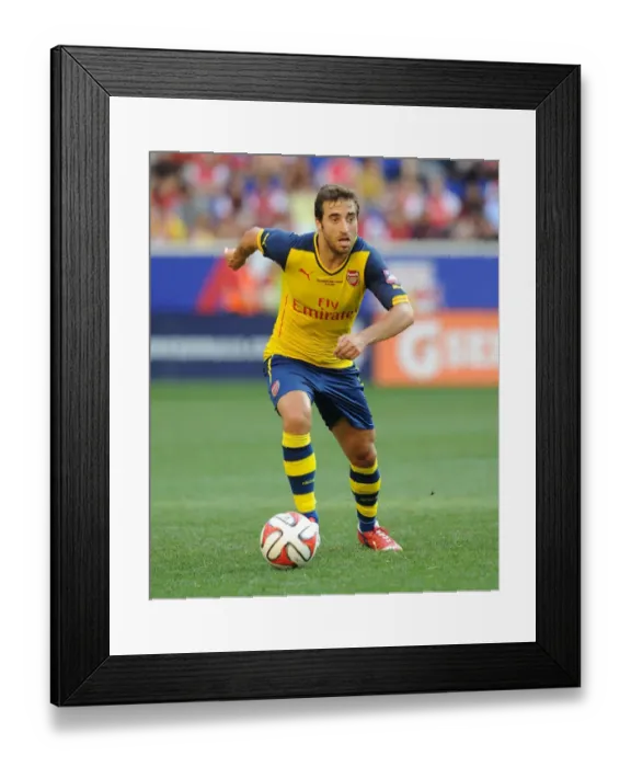 Framed Print : Mathieu Flamini: Arsenal's Midfield Star Shines Against New York Red Bulls (2014)
