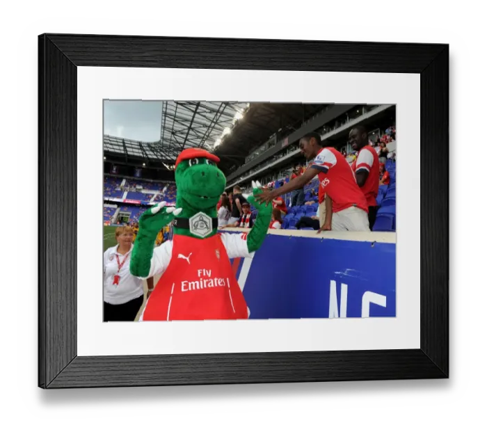 Framed Print : Gunnersaus Meets Fans: Arsenal vs. New York Red Bulls Pre-Season Friendly Framed Print : Gunnersaus Meets Fans: Arsenal vs. New York Red Bulls Pre-Season Friendly