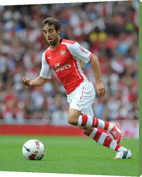 Mathieu Flamini (Arsenal). Arsenal 5: 1 Benfica. The Emirates Cup, Day 1. Emirates Stadium, 2  /  8  /  14