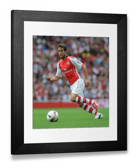 Framed Print : Mathieu Flamini (Arsenal). Arsenal 5: 1 Benfica. The Emirates Cup, Day 1. Emirates Stadium, 2  /  8  /  14