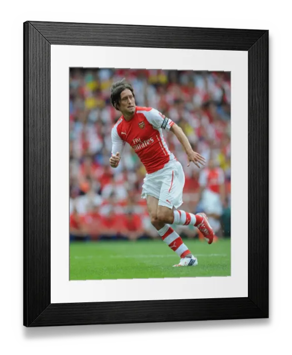 Framed Print : Arsenal's Tomas Rosicky Stars in 5-1 Emirates Cup Win over Benfica Framed Print : Arsenal's Tomas Rosicky Stars in 5-1 Emirates Cup Win over Benfica