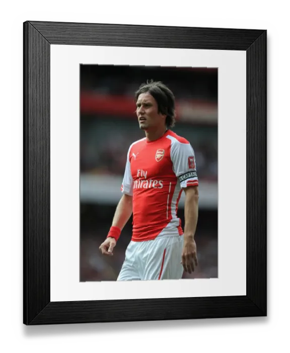 Framed Print : Arsenal's Tomas Rosicky Stars in 5-1 Emirates Cup Win over Benfica Framed Print : Arsenal's Tomas Rosicky Stars in 5-1 Emirates Cup Win over Benfica