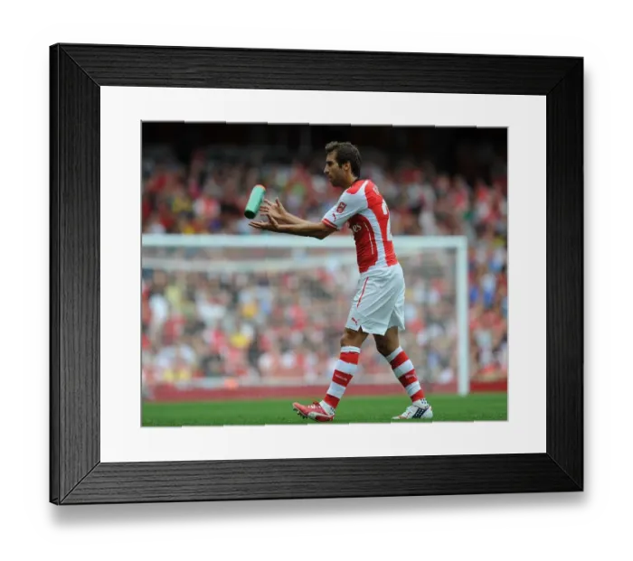 Framed Print : Flamini in Action: Arsenal vs Benfica, Emirates Cup 2014