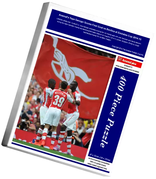 Arsenal's Yaya Sanogo Scores First Goal vs Benfica at Emirates Cup 2014-15