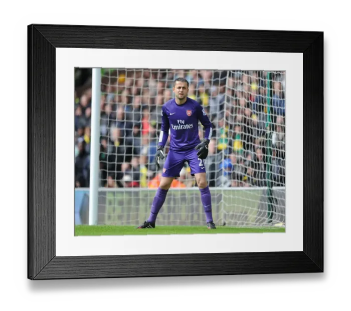 Framed Print : Lukasz Fabianski: Arsenal Goalkeeper in Action Against Norwich City (2013-14) Framed Print : Lukasz Fabianski: Arsenal Goalkeeper in Action Against Norwich City (2013-14)