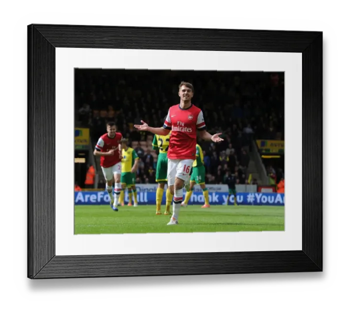 Framed Print : Aaron Ramsey's Goal Celebration: Norwich City vs. Arsenal, Premier League 2013-14 Framed Print : Aaron Ramsey's Goal Celebration: Norwich City vs. Arsenal, Premier League 2013-14