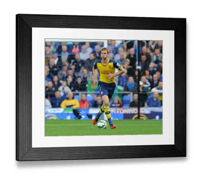 Framed Print : Per Mertesacker Focuses at Goodison Park: Everton vs Arsenal, Premier League 2014 / 15 Framed Print : Per Mertesacker Focuses at Goodison Park: Everton vs Arsenal, Premier League 2014 / 15