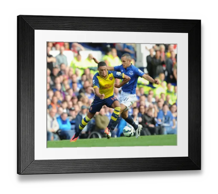 Framed Print : Alex Oxlade-Chamberlain vs. Leon Osman: Battle at Goodison Park, Everton vs. Arsenal, Premier League 2014 / 15