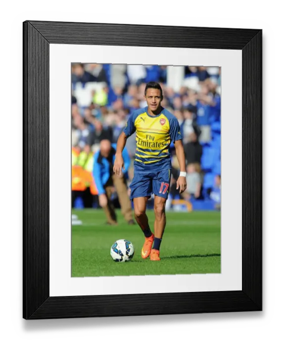 Framed Print : Alexis Sanchez Gears Up: Everton vs Arsenal, Premier League 2014 / 15