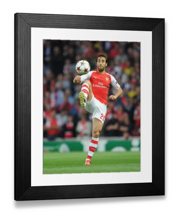 Framed Print : Mathieu Flamini Focuses in Arsenal's UEFA Champions League Battle Against Besiktas Framed Print : Mathieu Flamini Focuses in Arsenal's UEFA Champions League Battle Against Besiktas