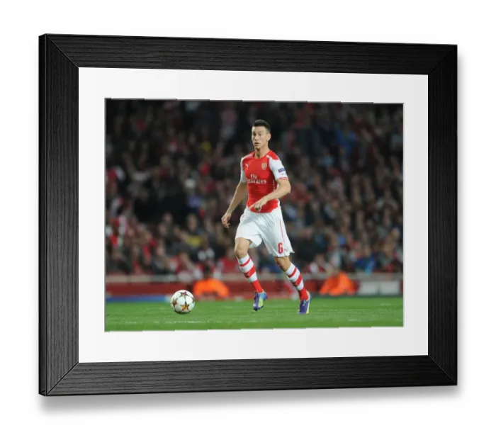 Framed Print : Arsenal's Laurent Koscielny Focuses in UEFA Champions League Clash Against Besiktas Framed Print : Arsenal's Laurent Koscielny Focuses in UEFA Champions League Clash Against Besiktas