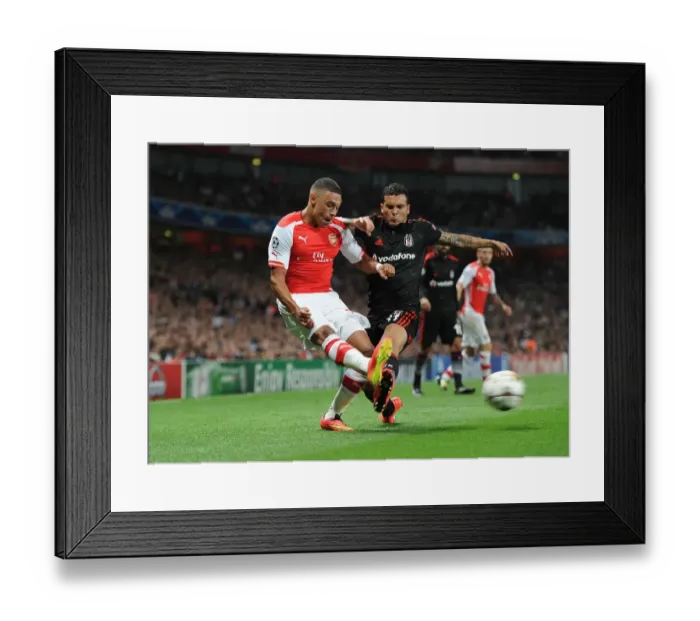 Framed Print : Arsenal's Oxlade-Chamberlain Faces Off Against Besiktas Motta in Champions League Clash Framed Print : Arsenal's Oxlade-Chamberlain Faces Off Against Besiktas Motta in Champions League Clash