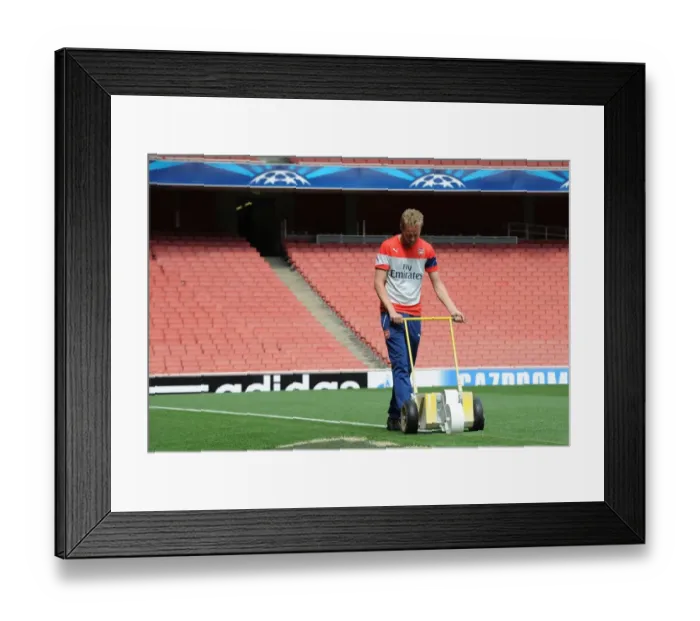 Framed Print : Preparing for Champions League: Arsenal's Meticulously Marked Emirates Stadium Pitch (2014 / 15) Framed Print : Preparing for Champions League: Arsenal's Meticulously Marked Emirates Stadium Pitch (2014 / 15)