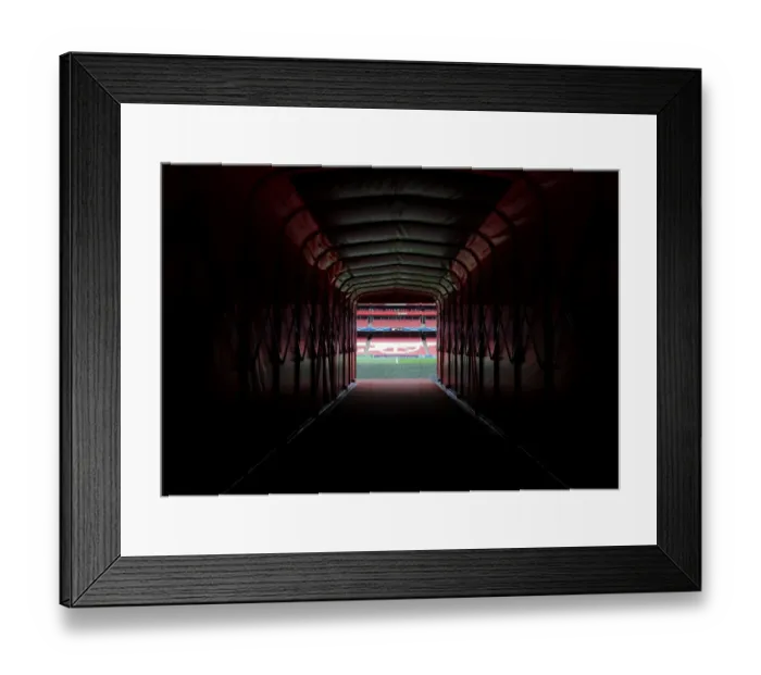 Framed Print : Arsenal FC vs. Besiktas: Players Tunnel, Emirates Stadium - UEFA Champions League Qualifiers 2014 Framed Print : Arsenal FC vs. Besiktas: Players Tunnel, Emirates Stadium - UEFA Champions League Qualifiers 2014