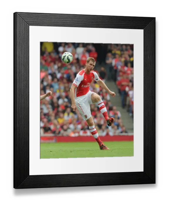 Framed Print : Per Mertesacker Focuses Against Manchester City - Arsenal vs. Manchester City, Premier League 2014-15