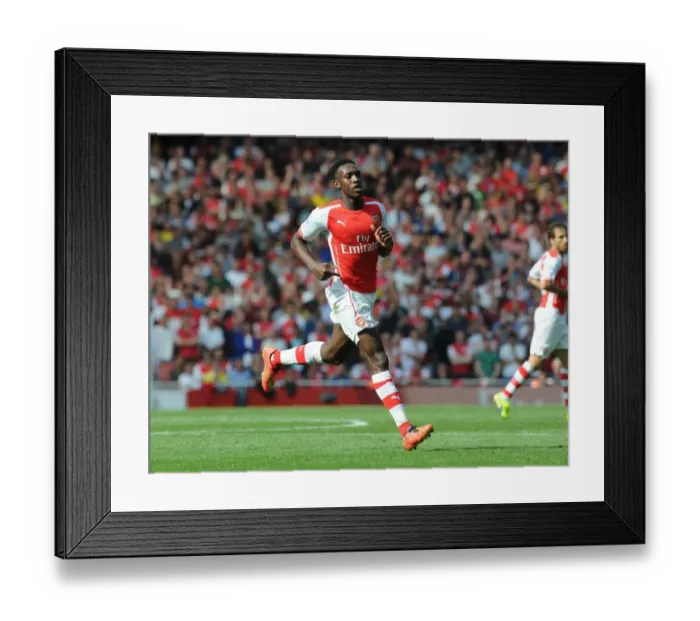 Framed Print : Danny Welbeck in Action: Arsenal vs Manchester City, Premier League 2014-15 Framed Print : Danny Welbeck in Action: Arsenal vs Manchester City, Premier League 2014-15