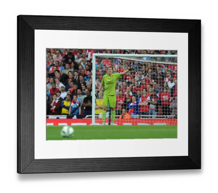 Framed Print : Wojciech Szczesny: Arsenal's Wall Against Tottenham Hotspur (2014-15) Framed Print : Wojciech Szczesny: Arsenal's Wall Against Tottenham Hotspur (2014-15)