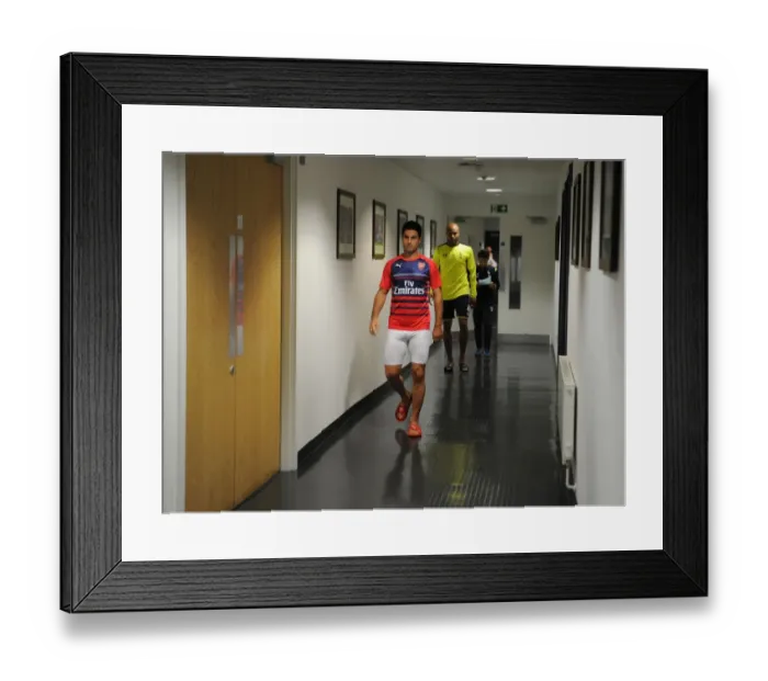 Framed Print : Mikel Arteta: Arsenal Captain Before Arsenal v Tottenham Hotspur (2014-15)