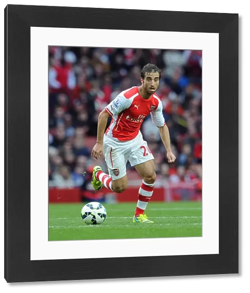 Mathieu Flamini (Arsenal). Arsenal 2: 2 Hull City. Barclays Premier League. Emirates Stadium