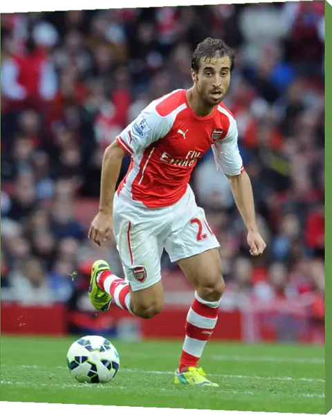 Mathieu Flamini (Arsenal). Arsenal 2: 2 Hull City. Barclays Premier League. Emirates Stadium