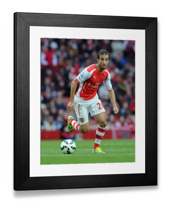 Framed Print : Mathieu Flamini (Arsenal). Arsenal 2: 2 Hull City. Barclays Premier League. Emirates Stadium Framed Print : Mathieu Flamini (Arsenal). Arsenal 2: 2 Hull City. Barclays Premier League. Emirates Stadium