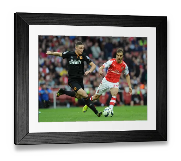 Framed Print : Mathieu Flamini (Arsenal) James Chester (Hull). Arsenal 2: 2 Hull City. Barclays Premier League Framed Print : Mathieu Flamini (Arsenal) James Chester (Hull). Arsenal 2: 2 Hull City. Barclays Premier League