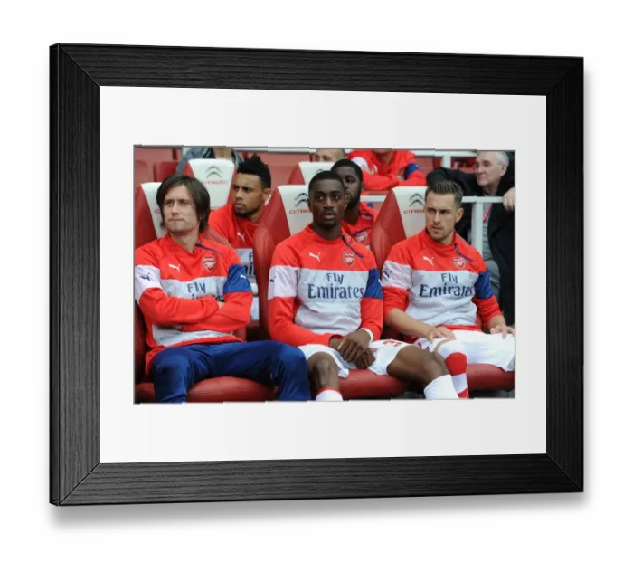 Framed Print : Arsenal Subs: Rosicky, Ajayi, Ramsey (Arsenal v Hull City, 2014-15)