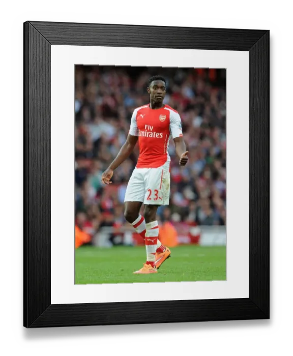 Framed Print : Danny Welbeck in Action: Arsenal vs Hull City, Premier League 2014-15 Framed Print : Danny Welbeck in Action: Arsenal vs Hull City, Premier League 2014-15