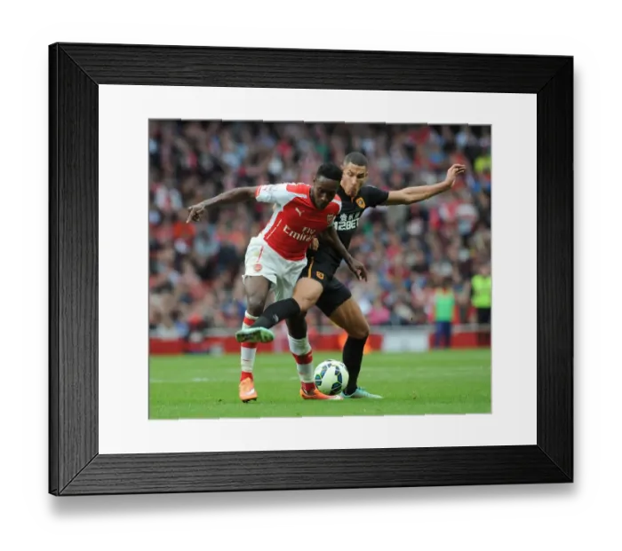 Framed Print : Arsenal's Danny Welbeck Faces Off Against Hull's Jake Livermore in Intense Premier League Clash Framed Print : Arsenal's Danny Welbeck Faces Off Against Hull's Jake Livermore in Intense Premier League Clash