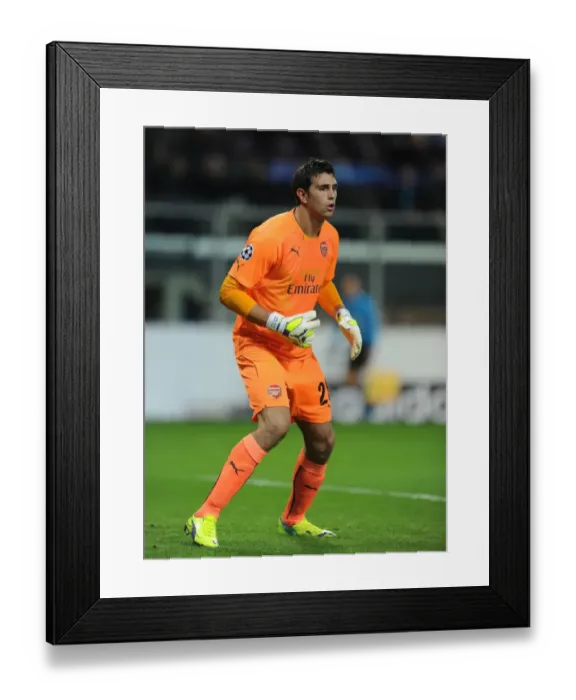 Framed Print : Emiliano Martinez: Arsenal's Wall in the Champions League Against Anderlecht (2014-15) Framed Print : Emiliano Martinez: Arsenal's Wall in the Champions League Against Anderlecht (2014-15)