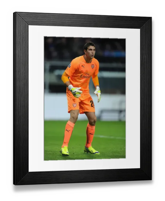 Framed Print : Emiliano Martinez in Action: Arsenal vs RSC Anderlecht, UEFA Champions League, 2014 Framed Print : Emiliano Martinez in Action: Arsenal vs RSC Anderlecht, UEFA Champions League, 2014