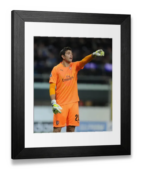 Framed Print : Emiliano Martinez: Arsenal Goalkeeper in Action against RSC Anderlecht, UEFA Champions League, 2014