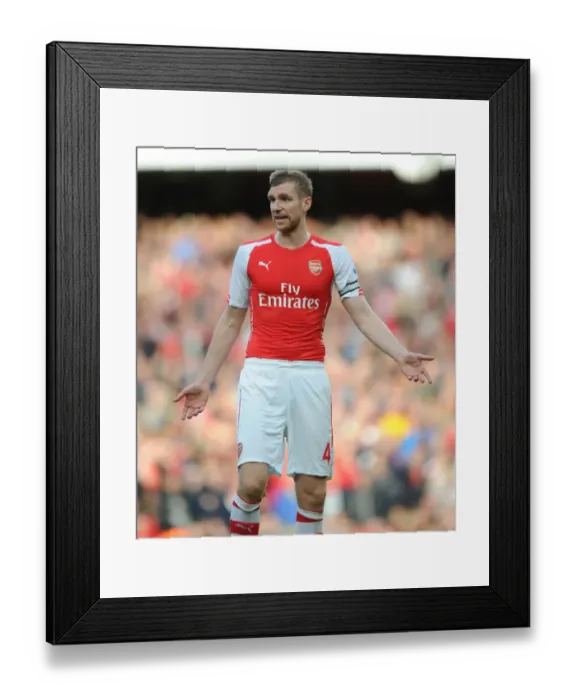 Framed Print : Arsenal vs Hull City: Per Mertesacker in Action at the Emirates Stadium, 2014-15 Premier League