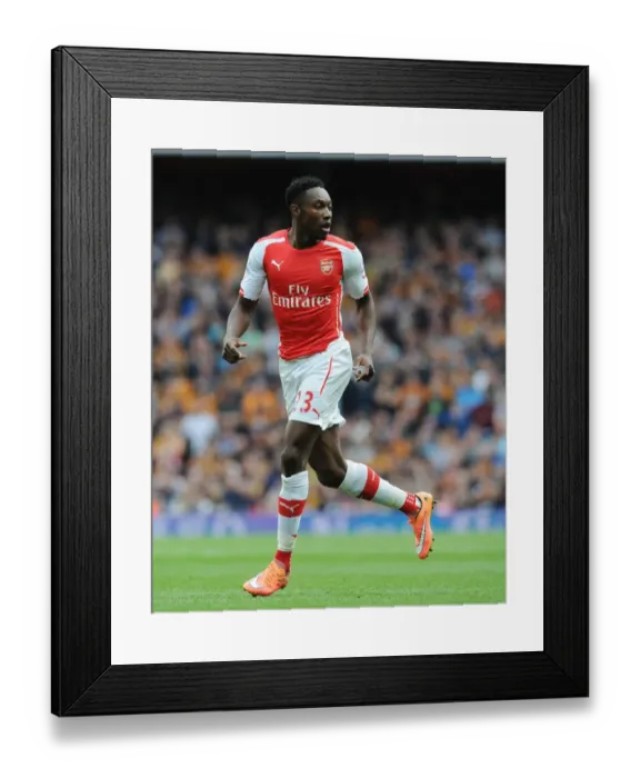 Framed Print : Danny Welbeck in Action: Arsenal vs Hull City, Premier League 2014-15 Framed Print : Danny Welbeck in Action: Arsenal vs Hull City, Premier League 2014-15