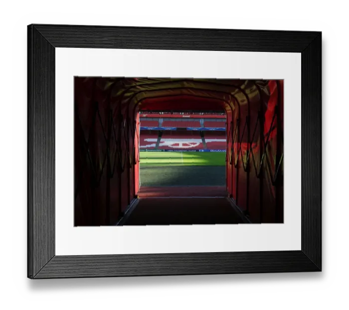 Framed Print : Arsenal FC vs RSC Anderlecht: Players Tunnel, Emirates Stadium (2014 / 15 UEFA Champions League) Framed Print : Arsenal FC vs RSC Anderlecht: Players Tunnel, Emirates Stadium (2014 / 15 UEFA Champions League)