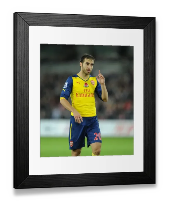 Framed Print : Flamini in Action: Swansea vs Arsenal, Premier League 2014-15 Framed Print : Flamini in Action: Swansea vs Arsenal, Premier League 2014-15