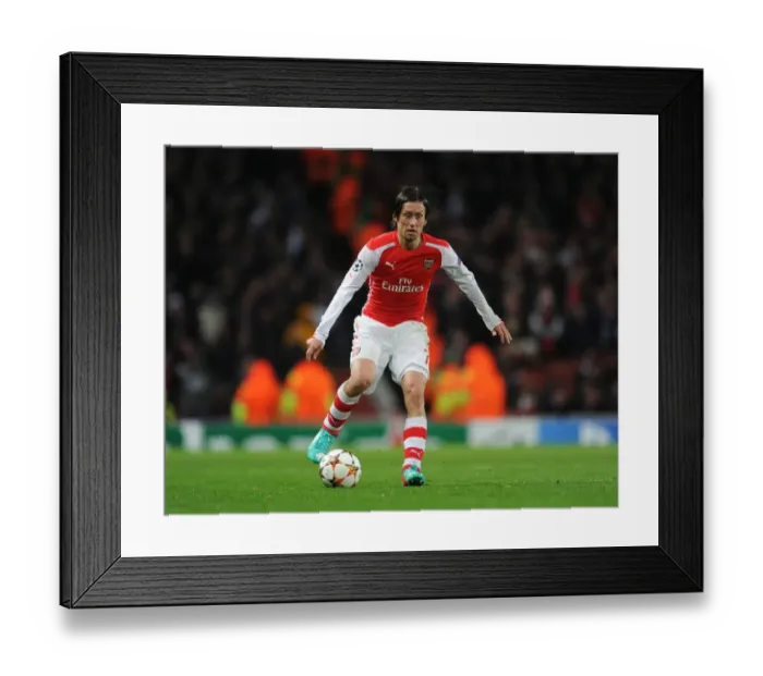 Framed Print : Arsenal's Rosicky Shines in Champions League Clash Against RSC Anderlecht
