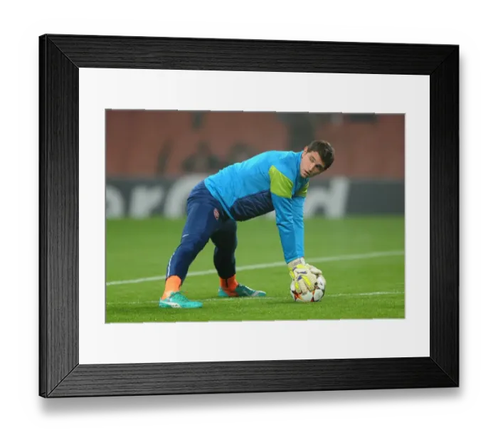 Framed Print : Emi Martinez (Arsenal). Arsenal 2: 0 Borussia Dortmund. UEFA Champions League. Group D Framed Print : Emi Martinez (Arsenal). Arsenal 2: 0 Borussia Dortmund. UEFA Champions League. Group D