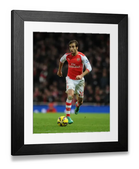 Framed Print : Mathieu Flamini's Winning Goal: Arsenal 1-0 Southampton, Premier League 2014-15