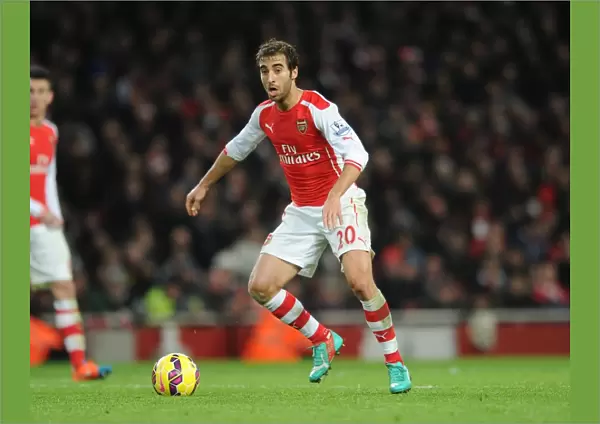 Mathieu Flamini (Arsenal). Arsenal 1: 0 Southampton. Barclays Premier League. Emirates Stadium
