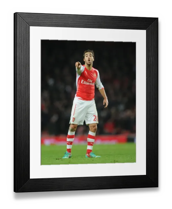 Framed Print : Flamini in Action: Arsenal vs Southampton, Premier League 2014-15