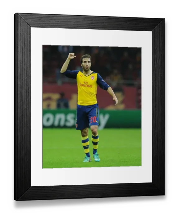 Framed Print : Mathieu Flamini in Action: Arsenal vs. Galatasaray, UEFA Champions League, Istanbul, 2014 Framed Print : Mathieu Flamini in Action: Arsenal vs. Galatasaray, UEFA Champions League, Istanbul, 2014