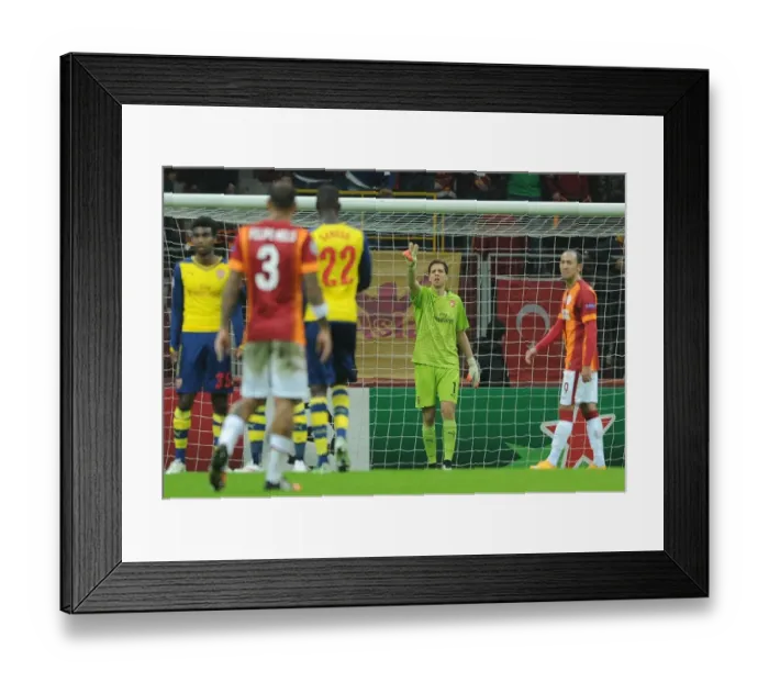 Framed Print : Wojceich Szczesny (Arsenal). Galatasaray 1: 4 Arsenal. UEFA Champions League. Group D Framed Print : Wojceich Szczesny (Arsenal). Galatasaray 1: 4 Arsenal. UEFA Champions League. Group D