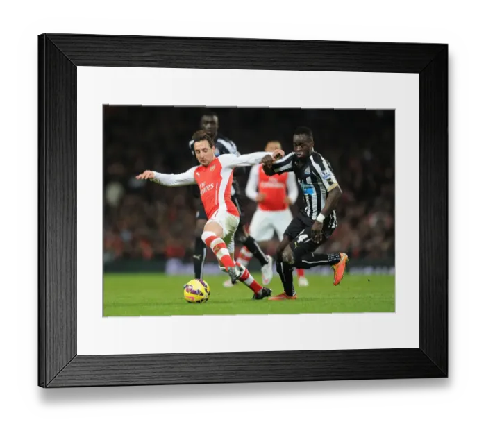 Framed Print : Arsenal vs Newcastle United: Santi Cazorla vs Cheick Tiote - Premier League Showdown, Emirates Stadium, London, 2014 Framed Print : Arsenal vs Newcastle United: Santi Cazorla vs Cheick Tiote - Premier League Showdown, Emirates Stadium, London, 2014