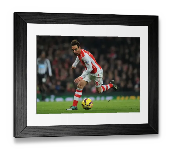 Framed Print : Santi Cazorla in Action: Arsenal vs Newcastle United, Premier League 2014 / 15 Framed Print : Santi Cazorla in Action: Arsenal vs Newcastle United, Premier League 2014 / 15