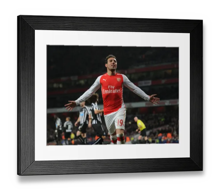 Framed Print : Santi Cazorla's Brace: Arsenal's Winning Moment Against Newcastle United (2014 / 15) Framed Print : Santi Cazorla's Brace: Arsenal's Winning Moment Against Newcastle United (2014 / 15)