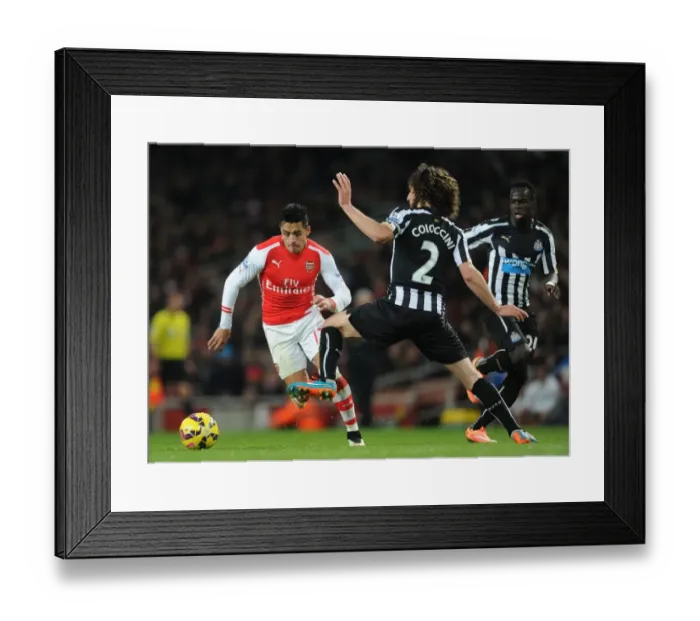 Framed Print : Arsenal's Alexis Sanchez Chases Down Newcastle's Fabricio Coloccini during the 2014 / 15 Premier League Match Framed Print : Arsenal's Alexis Sanchez Chases Down Newcastle's Fabricio Coloccini during the 2014 / 15 Premier League Match