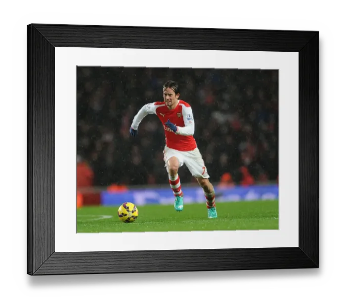 Framed Print : Arsenal's Tomas Rosicky in Action against Queens Park Rangers (2014-15)