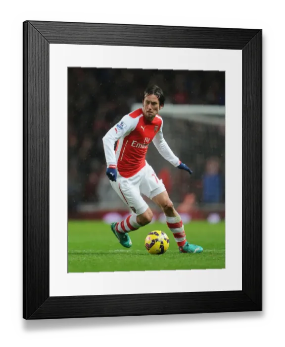 Framed Print : Tomas Rosicky in Action: Arsenal vs. Queens Park Rangers (2014-15) Framed Print : Tomas Rosicky in Action: Arsenal vs. Queens Park Rangers (2014-15)