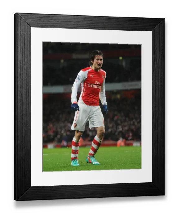 Framed Print : Tomas Rosicky Scores Arsenal's Second Goal vs. Queens Park Rangers (2014-15)